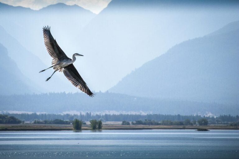 berkshire-hathaway-energy-montana-energises-150mwh-bess