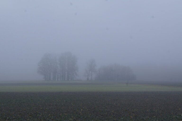 without-transparent-energy-planning,-the-lights-could-go-out