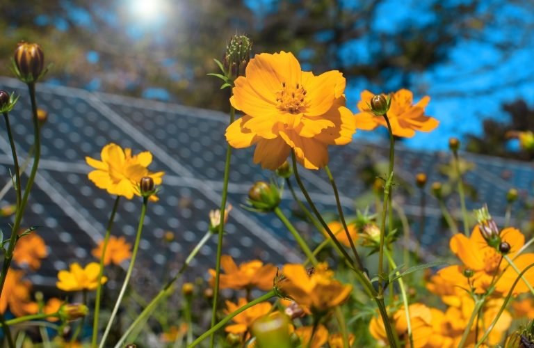 vote-solar:-rewritten-massachusetts-climate-bill-good-for-solar-but-lacks-long-term-plan