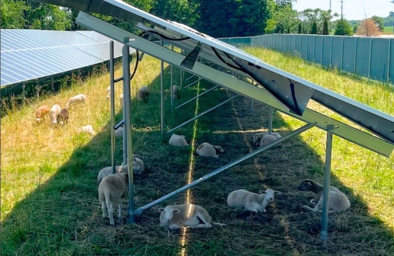 greenspark,-encore-bring-online-13-mw-agrivoltaic-community-solar-portfolio