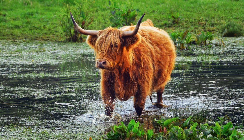 highland-climate-report-warns-of-more-floods,-droughts-and-wildfires