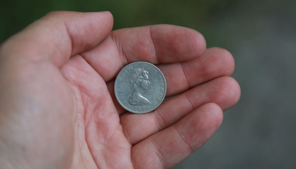 can-giving-away-0.1%-of-revenue-get-the-world-to-net-zero?