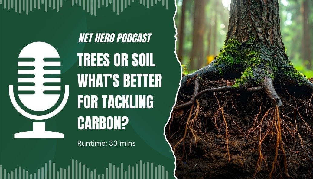 net-hero-podcast-–-trees-or-soil-what’s-better-for-tackling-carbon?
