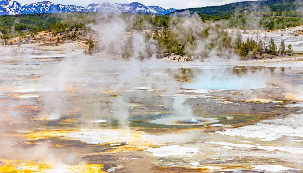 bugs-in-hot-springs-could-clean-up-industry…