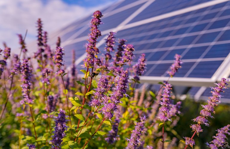 how-dual-use-solar-gets-built:-a-field-guide-to-partnerships-that-work