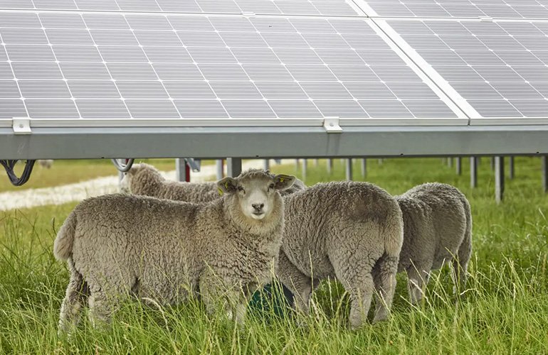 chaberton-energy-seeks-farmers-for-agrivoltaic-projects-in-maryland