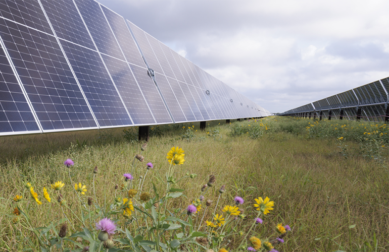 enbridge-developing-365-mw-solar-+-storage-project-for-meta-data-centers