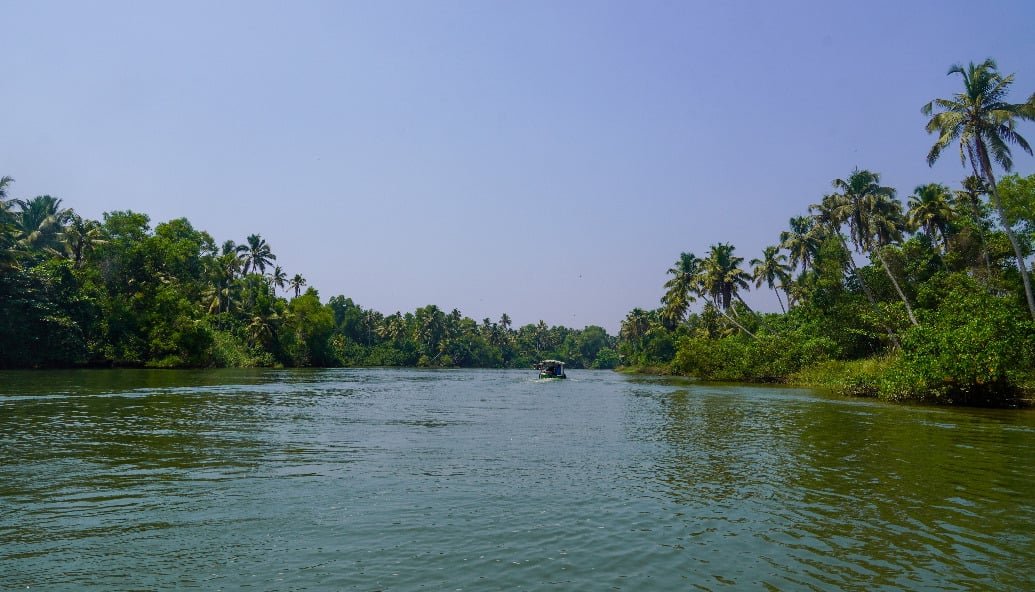 nearly-80%-of-world’s-rivers-losing-oxygen-as-climate-change-tightens