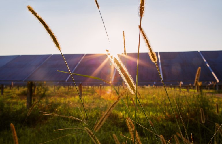 renewable-energy-sees-double-digit-growth-in-trump’s-second-term