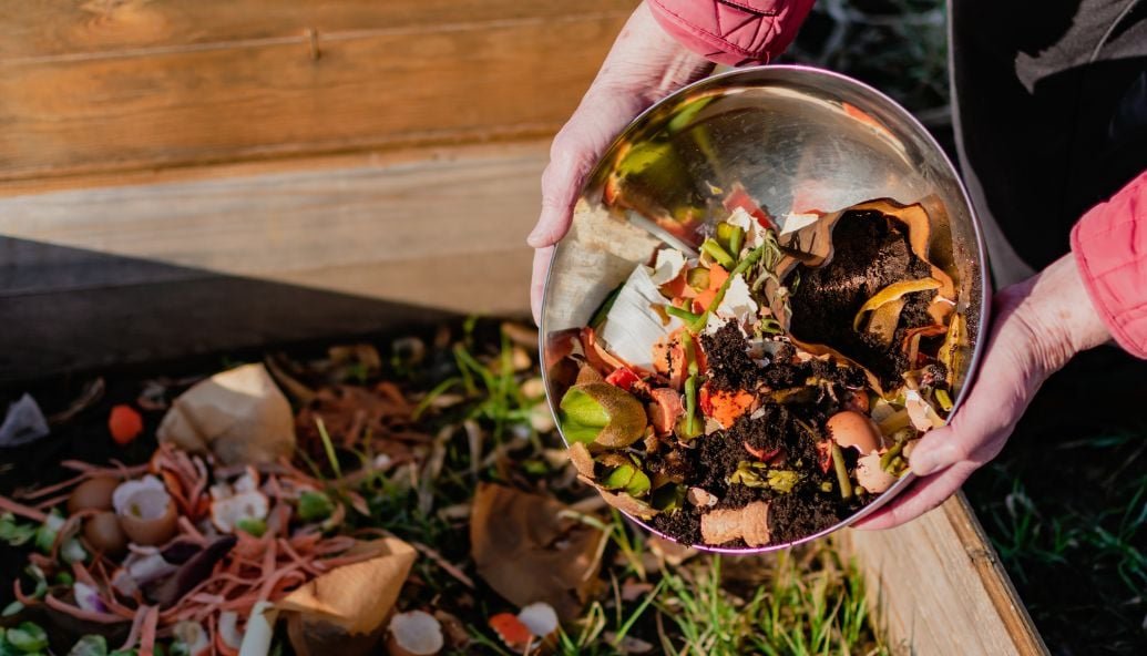 halving-food-waste-could-put-500-a-year-back-into-household-budgets