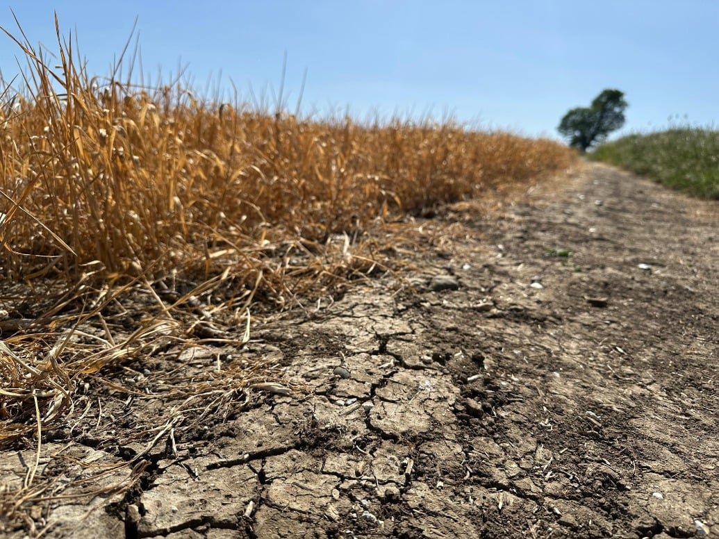 farmers-to-receive-drought-support
