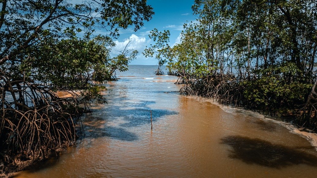 brazil’s-president-defends-oil-discovery
