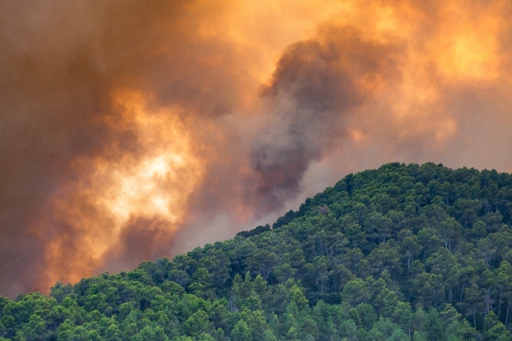 england-warned-over-increased-wildfire-risk-as-europe-burns