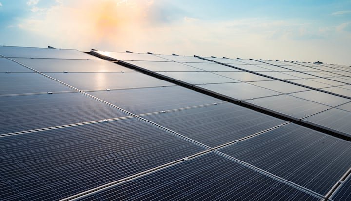 solar-panel-farm-has-41%-increase-in-biodiversity