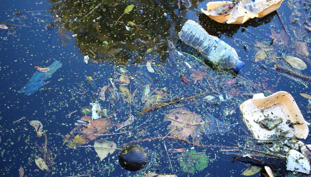 just-one-in-seven-english-waters-are-ecologically-healthy