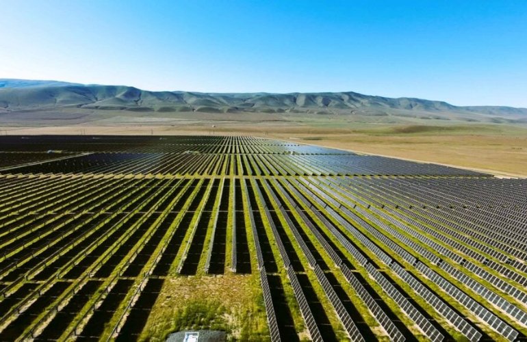 washington-solar-project-includes-wildlife-corridors-and-mix-of-pollinator-friendly-plants