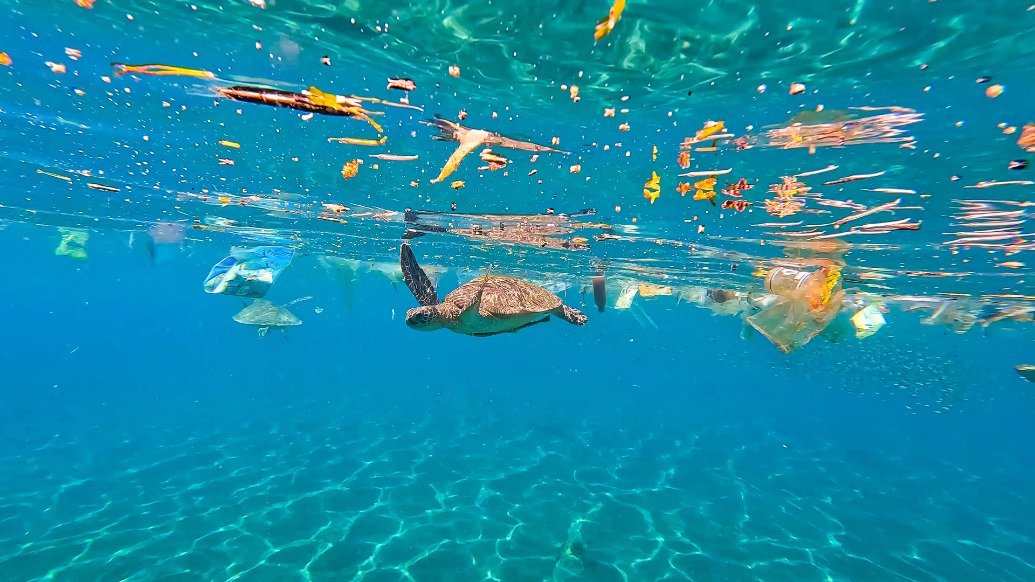 plastic-pollution-has-reached-every-part-of-the-ocean-–-global-leaders-call-meeting