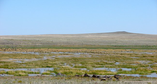 orsted-solar-project-to-also-help-restore-new-mexico-wetlands