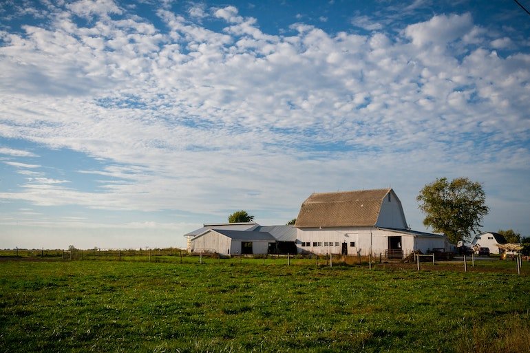 reap-grant-update-makes-solar-projects-on-farmland-ineligible