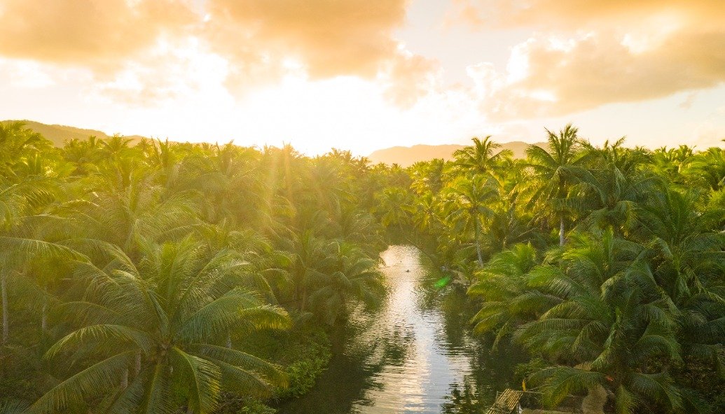 climate-change-is-warming-the-amazon-by-1.4c