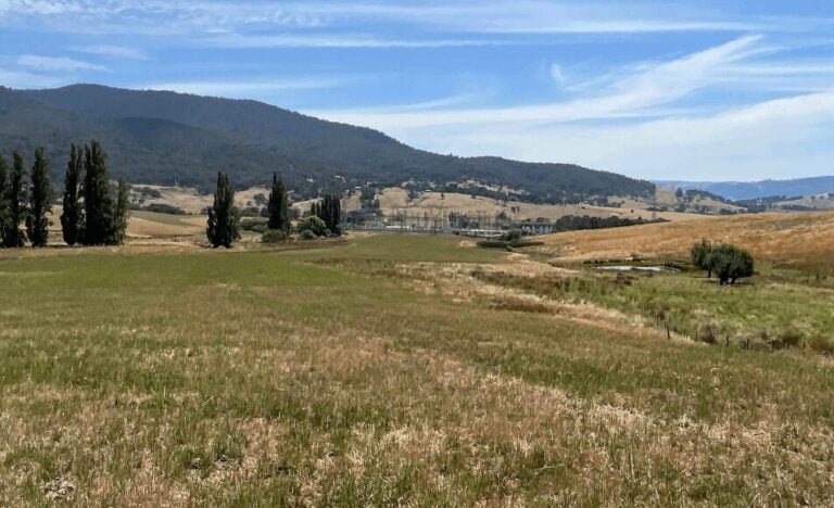mint-renewables-wins-planning-approval-for-800mwh-battery-storage-system-in-western-australia