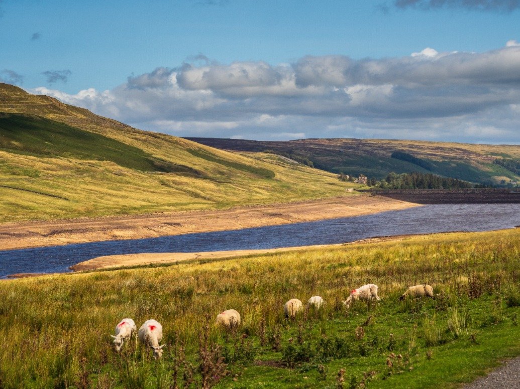 drought-declared-in-yorkshire-as-water-levels-remain-low