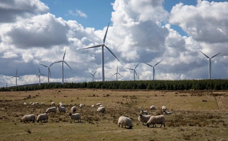 bess-industry-buzz:-optimisation-and-curtailment-in-gb,-deal-making-and-revenues-across-europe