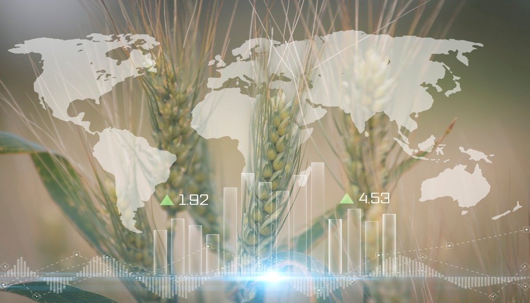 how-crucial-are-renewables-to-food-security?