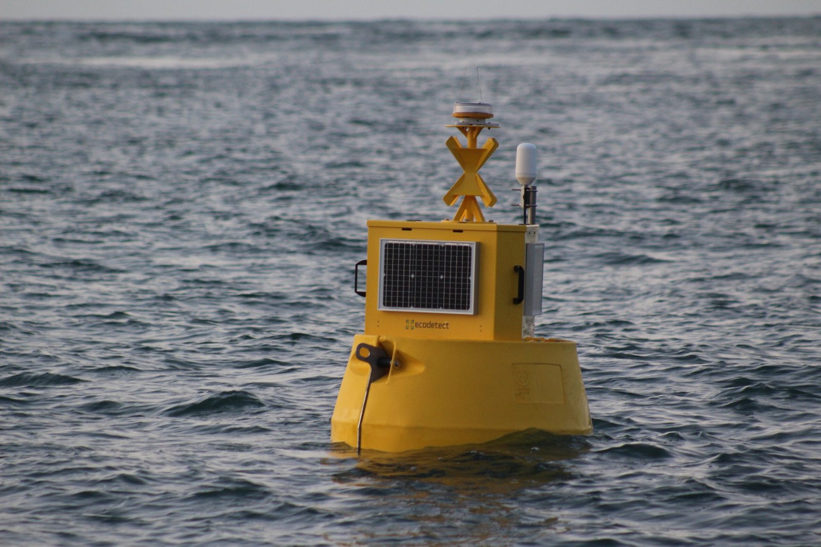 tidal-energy-project-welcomes-ai-environmental-monitoring